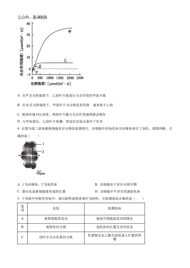 北京市朝阳区2024-2025学年高三上学期11月期中生物试题Word版无答案_2024-2025高三（6-6月题库）_2024年11月试卷_1116北京市朝阳区2024-2025学年高三上学期期中考试（全科）