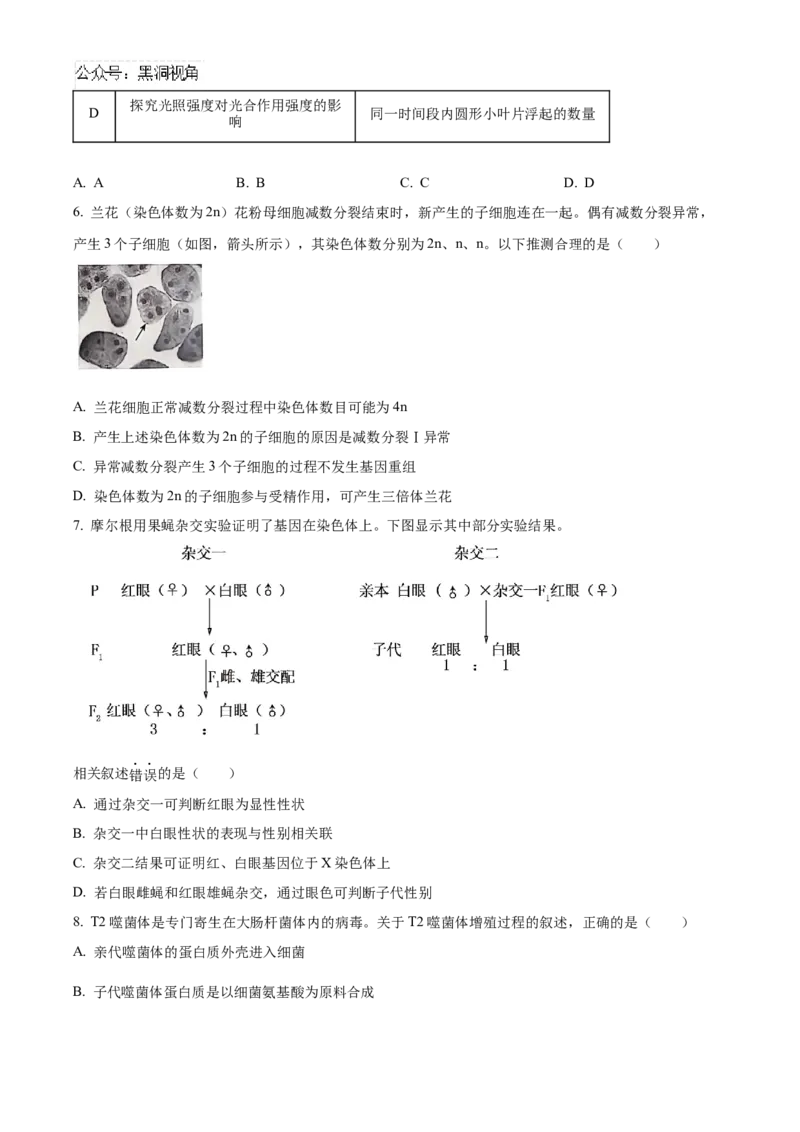 北京市朝阳区2024-2025学年高三上学期11月期中生物试题Word版无答案_2024-2025高三（6-6月题库）_2024年11月试卷_1116北京市朝阳区2024-2025学年高三上学期期中考试（全科）