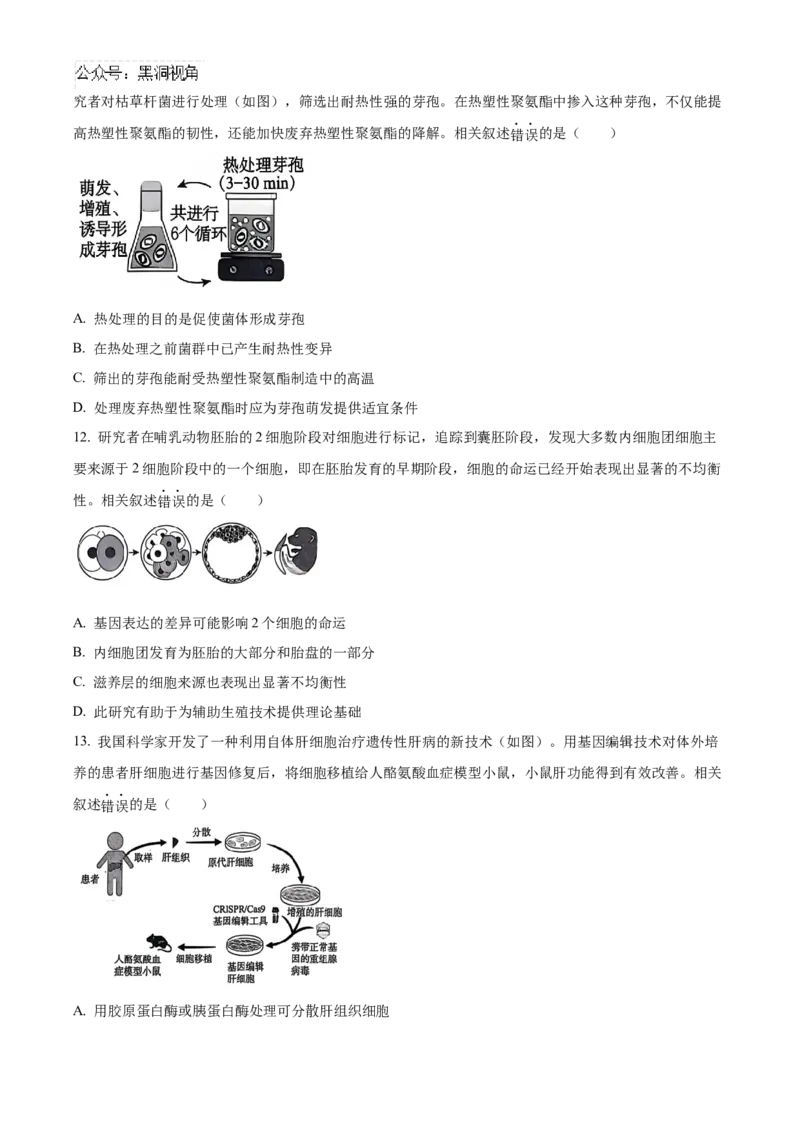 北京市朝阳区2024-2025学年高三上学期11月期中生物试题Word版无答案_2024-2025高三（6-6月题库）_2024年11月试卷_1116北京市朝阳区2024-2025学年高三上学期期中考试（全科）