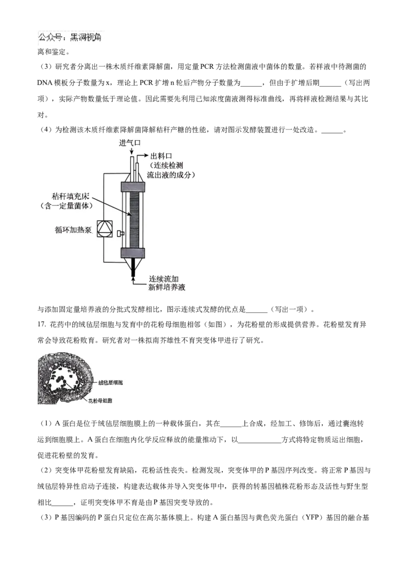 北京市朝阳区2024-2025学年高三上学期11月期中生物试题Word版无答案_2024-2025高三（6-6月题库）_2024年11月试卷_1116北京市朝阳区2024-2025学年高三上学期期中考试（全科）