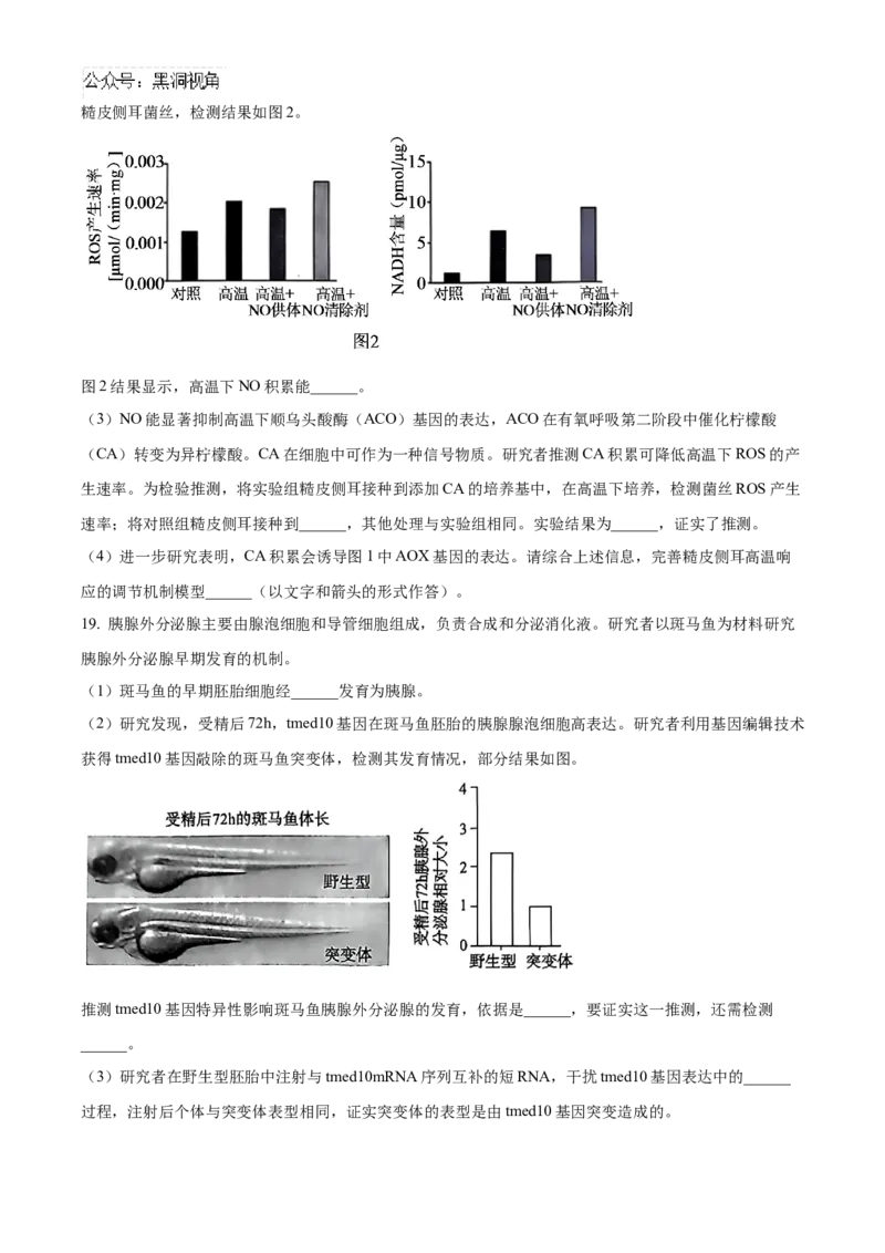 北京市朝阳区2024-2025学年高三上学期11月期中生物试题Word版无答案_2024-2025高三（6-6月题库）_2024年11月试卷_1116北京市朝阳区2024-2025学年高三上学期期中考试（全科）