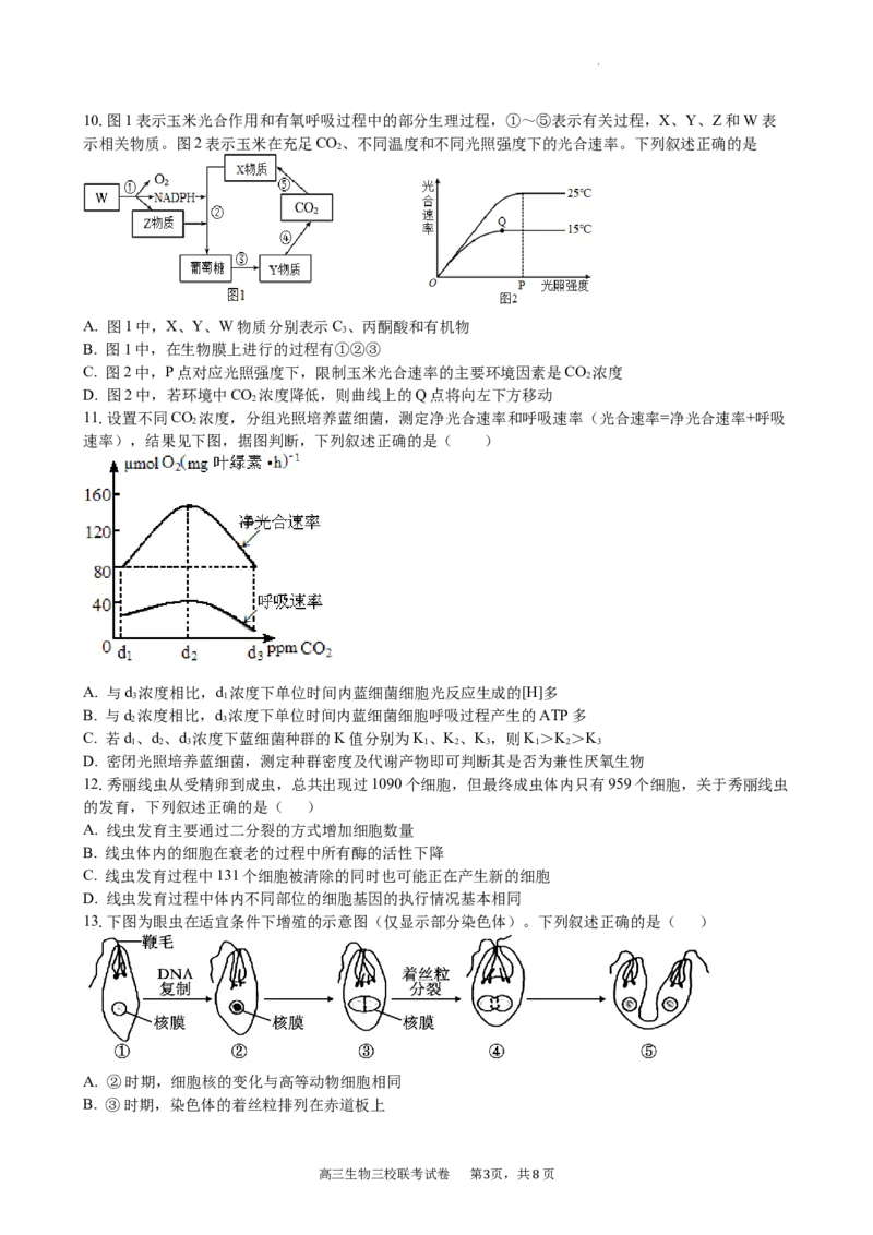 江西省南昌市三校联考2024届高三上学期11月期中生物(1)_2023年11月_01每日更新_18号_2024届江西省南昌市三校联考高三上学期11月期中