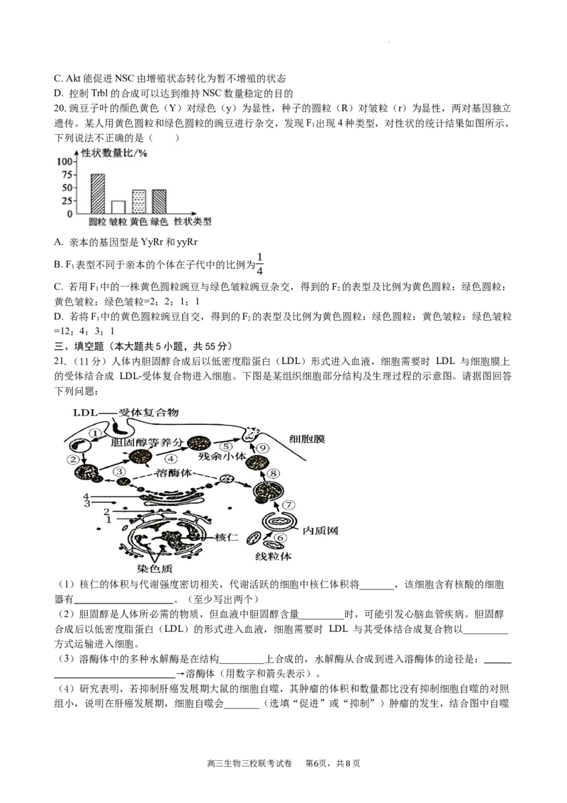 江西省南昌市三校联考2024届高三上学期11月期中生物(1)_2023年11月_01每日更新_18号_2024届江西省南昌市三校联考高三上学期11月期中