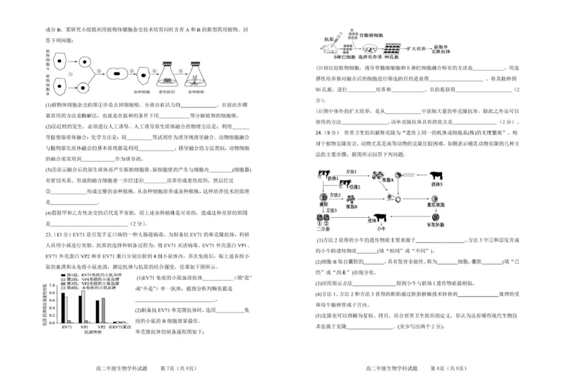 江苏省连云港市市区新浦中学、开发区中学等七校2024-2025学年高二下学期期中联考试题生物PDF版含答案_2024-2025高二（7-7月题库）_2025年05月试卷