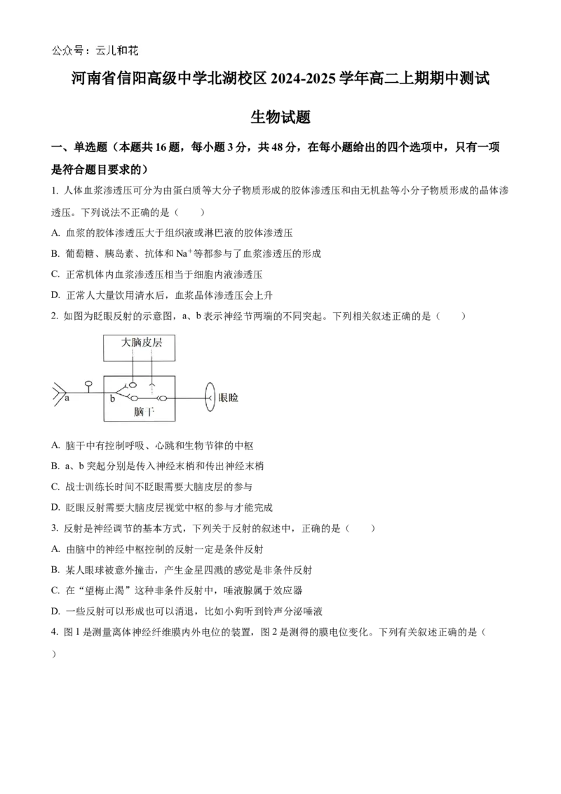 河南省信阳高级中学北湖校区2024-2025学年高二上学期期中考试生物Word版含解析_2024-2025高二（7-7月题库）_2024年11月试卷