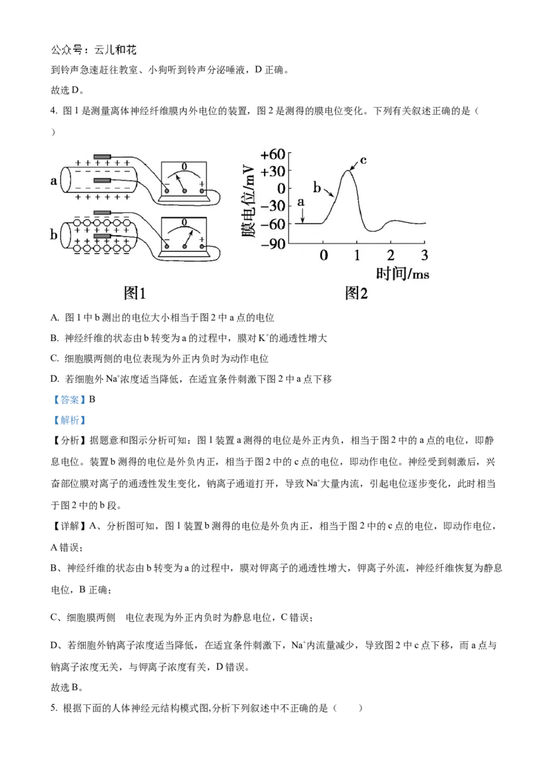 河南省信阳高级中学北湖校区2024-2025学年高二上学期期中考试生物Word版含解析_2024-2025高二（7-7月题库）_2024年11月试卷