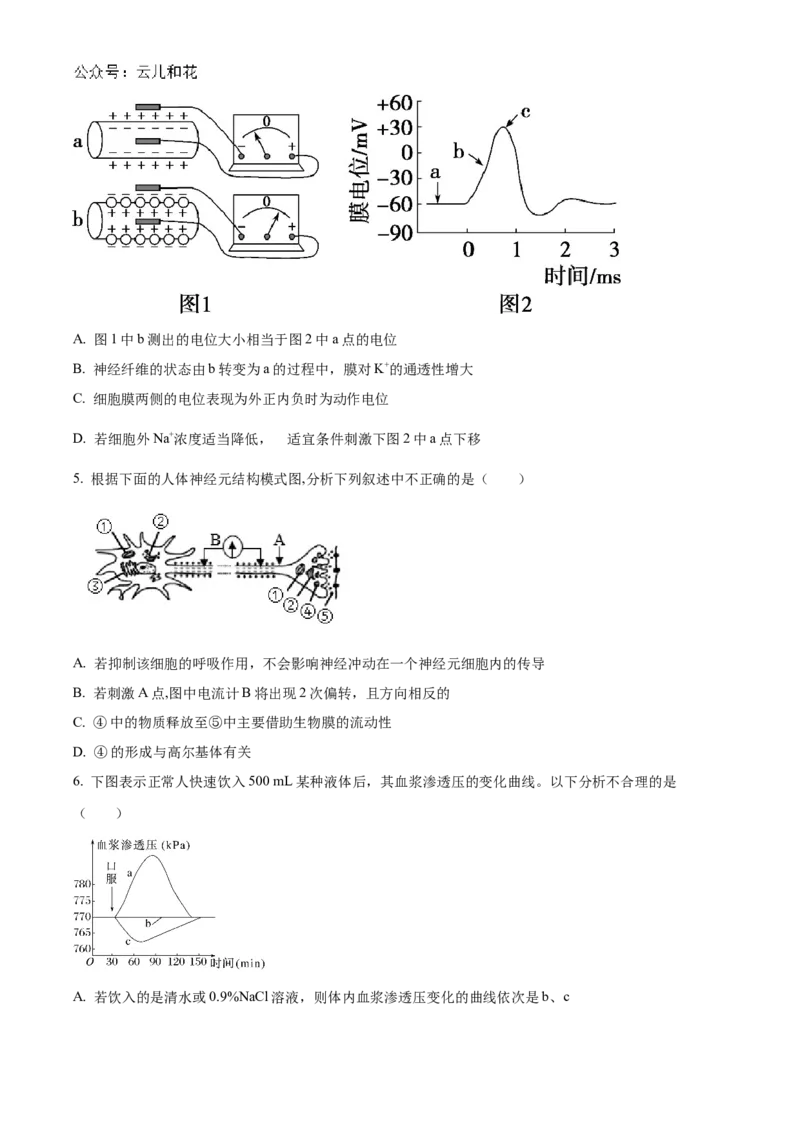 河南省信阳高级中学北湖校区2024-2025学年高二上学期期中考试生物Word版含解析_2024-2025高二（7-7月题库）_2024年11月试卷