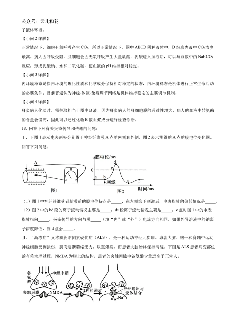 河南省信阳高级中学北湖校区2024-2025学年高二上学期期中考试生物Word版含解析_2024-2025高二（7-7月题库）_2024年11月试卷
