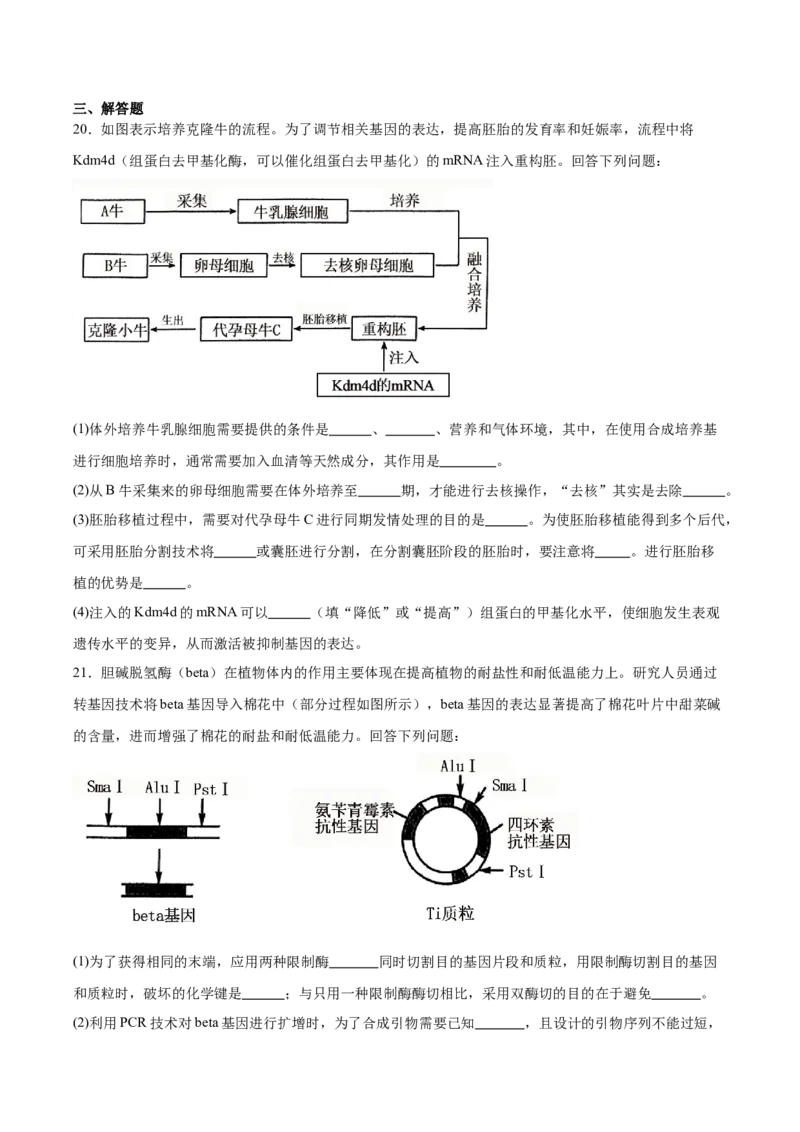 山西省晋城市部分学校2024-2025学年高二下学期4月期中提升考生物Word版含答案_2024-2025高二（7-7月题库）_2025年6月试卷_0613山西省晋城市部分学校2024-2025学年高二下学期4月期中提升考