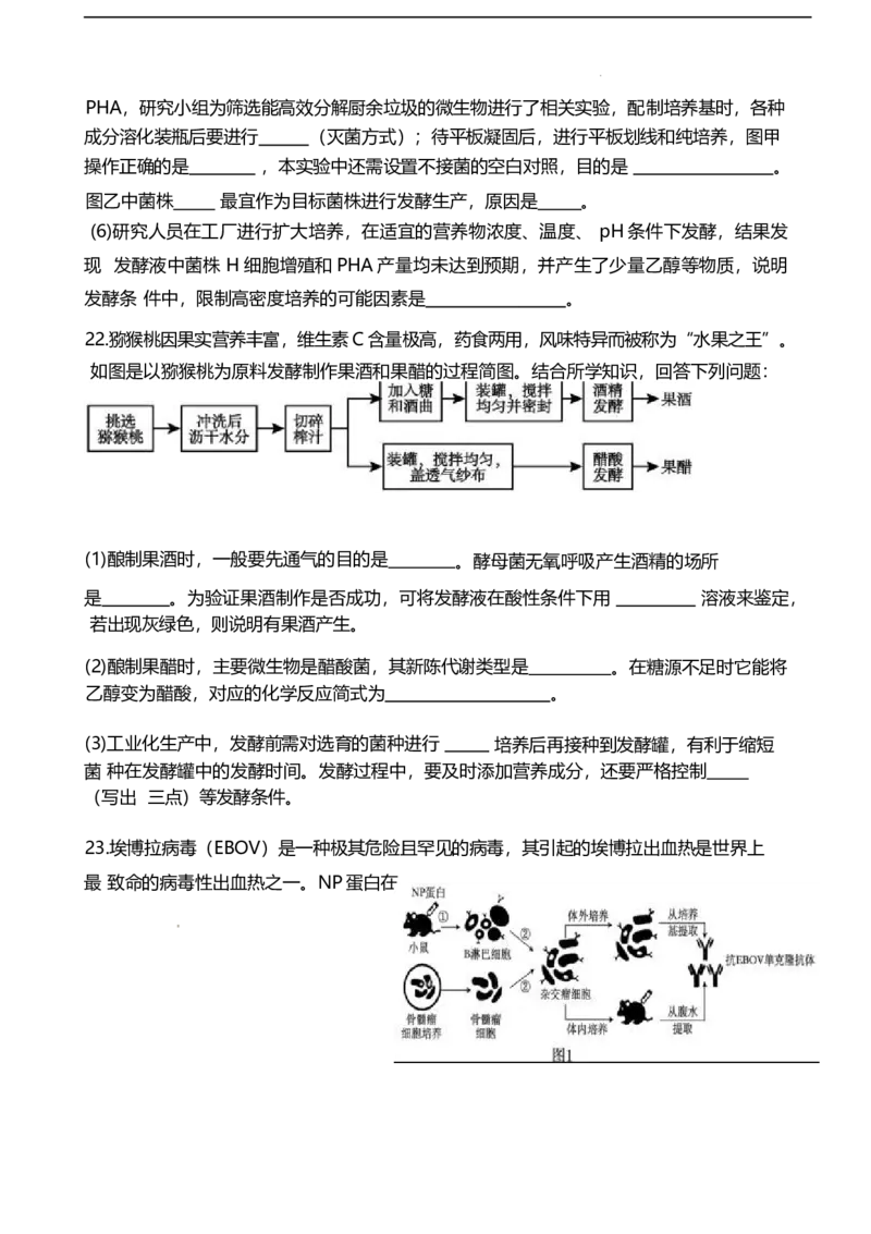山东省潍坊第一中学2024-2025学年高二下学期第二次质量检测生物试卷（有答案）_2024-2025高二（7-7月题库）_2025年6月试卷_0601山东省潍坊市第一中学2024-2025学年高二下学期第二次质量检测