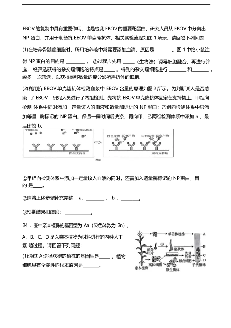 山东省潍坊第一中学2024-2025学年高二下学期第二次质量检测生物试卷（有答案）_2024-2025高二（7-7月题库）_2025年6月试卷_0601山东省潍坊市第一中学2024-2025学年高二下学期第二次质量检测