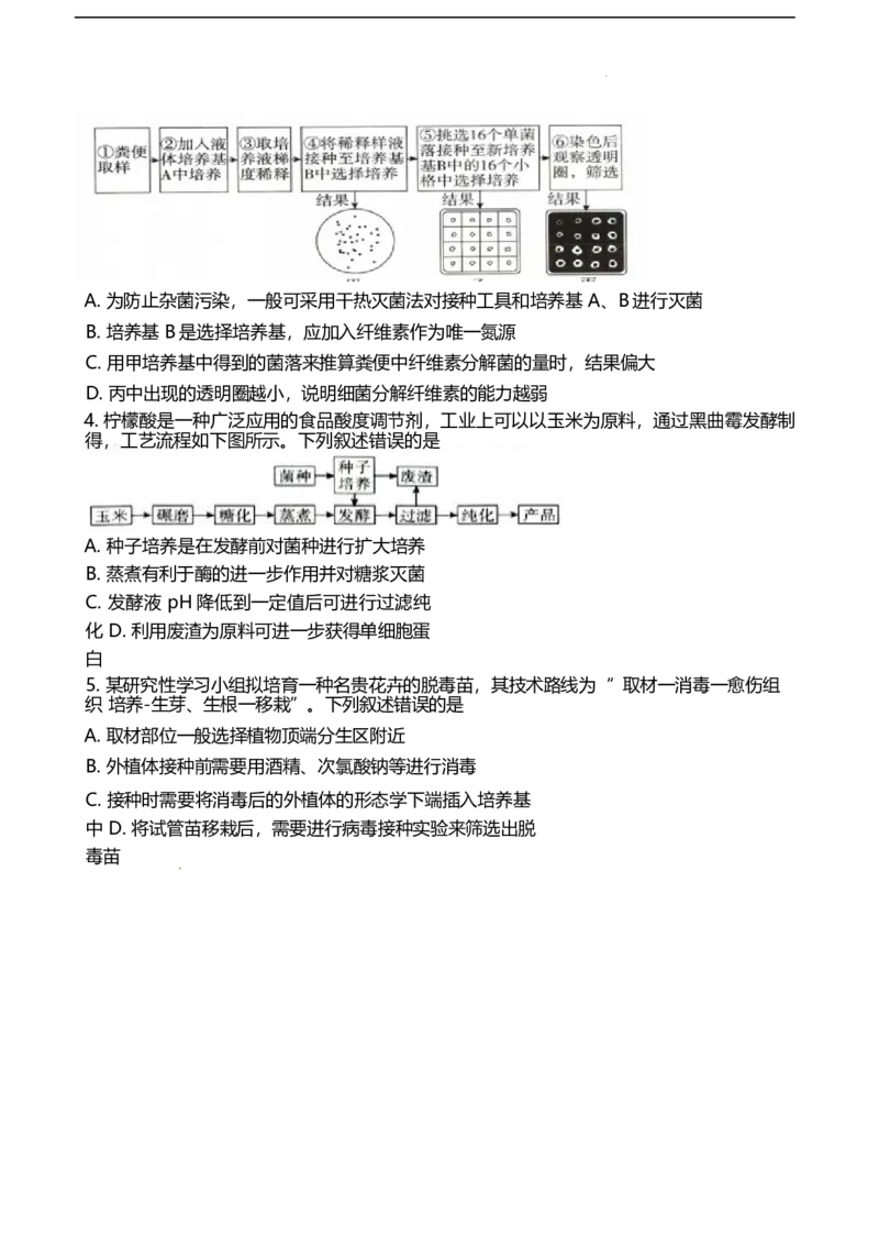 山东省潍坊第一中学2024-2025学年高二下学期第二次质量检测生物试卷（有答案）_2024-2025高二（7-7月题库）_2025年6月试卷_0601山东省潍坊市第一中学2024-2025学年高二下学期第二次质量检测