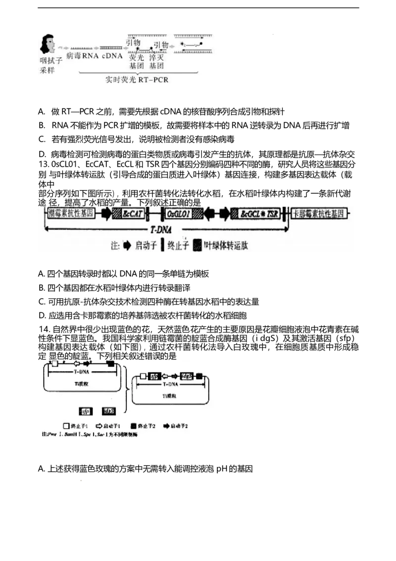 山东省潍坊第一中学2024-2025学年高二下学期第二次质量检测生物试卷（有答案）_2024-2025高二（7-7月题库）_2025年6月试卷_0601山东省潍坊市第一中学2024-2025学年高二下学期第二次质量检测