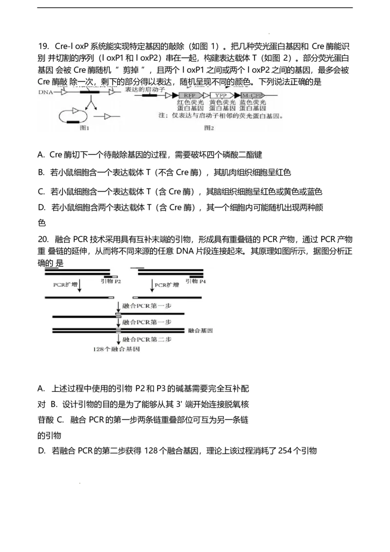 山东省潍坊第一中学2024-2025学年高二下学期第二次质量检测生物试卷（有答案）_2024-2025高二（7-7月题库）_2025年6月试卷_0601山东省潍坊市第一中学2024-2025学年高二下学期第二次质量检测