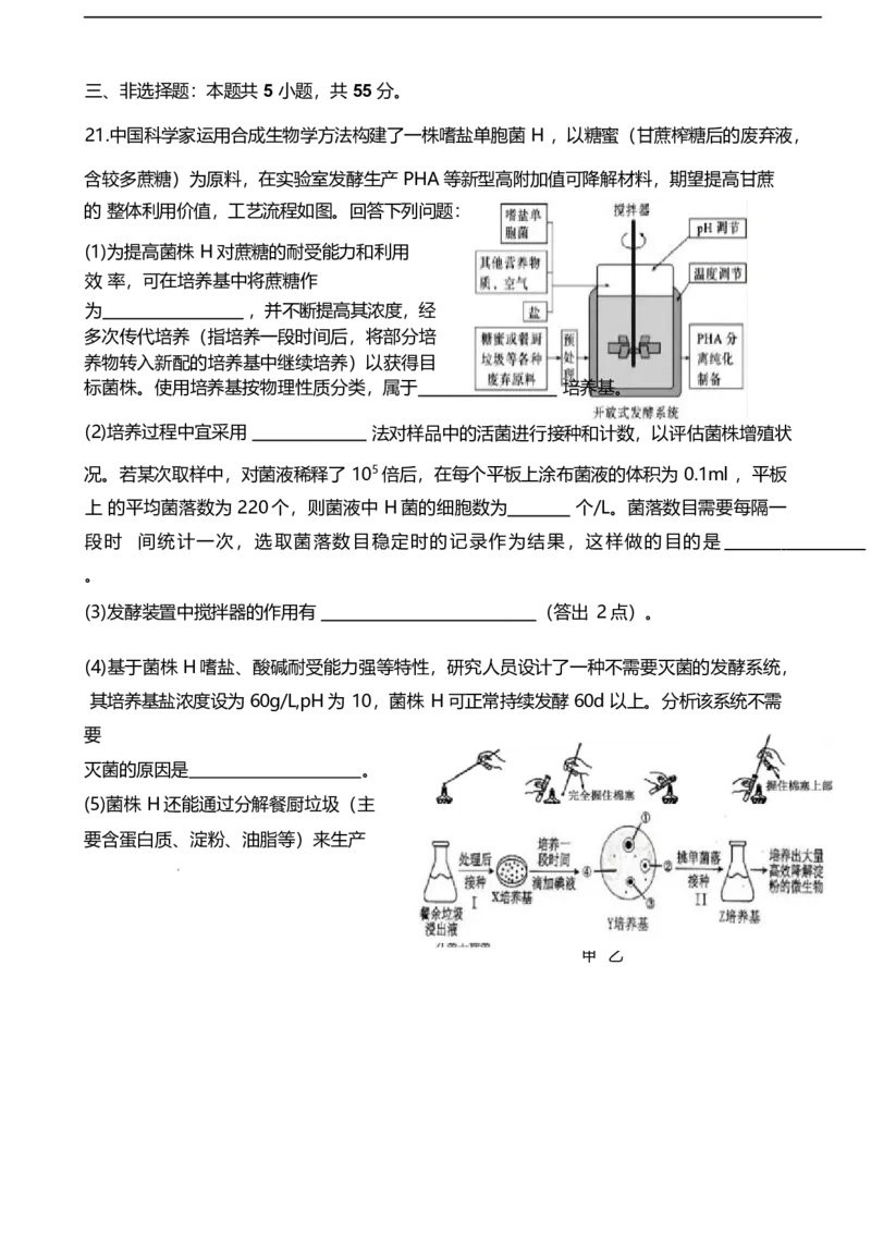 山东省潍坊第一中学2024-2025学年高二下学期第二次质量检测生物试卷（有答案）_2024-2025高二（7-7月题库）_2025年6月试卷_0601山东省潍坊市第一中学2024-2025学年高二下学期第二次质量检测