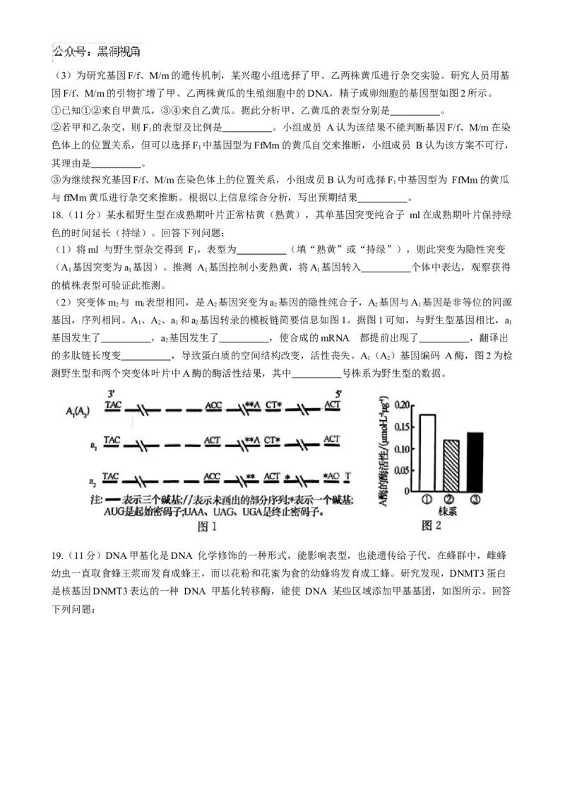 安徽毛坦厂实验中学2025届高三11月期中考试生物+答案_2024-2025高三（6-6月题库）_2024年12月试卷_1203安徽毛坦厂实验中学2025届高三11月期中考试