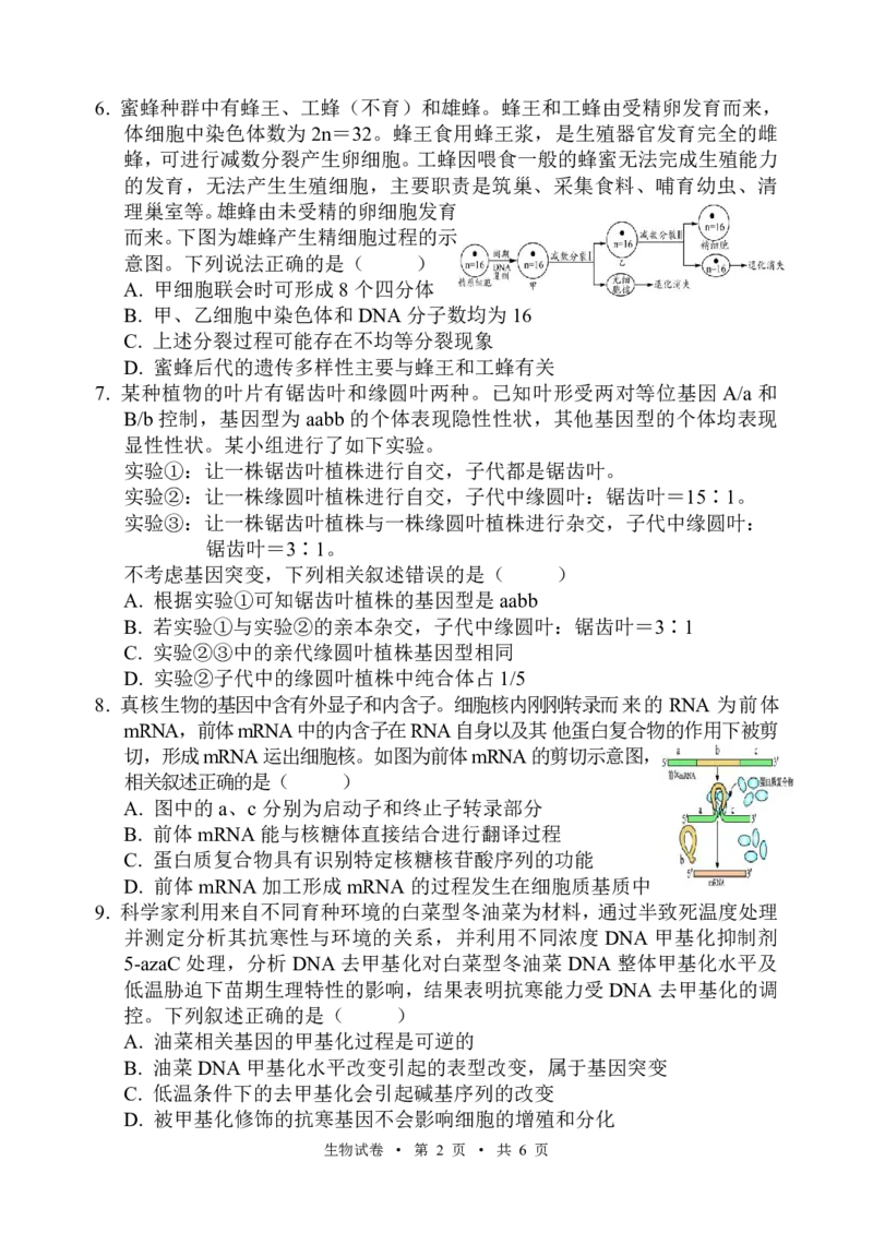 宁夏吴忠市高三上学期学业水平适应性考试生物_2024-2025高三（6-6月题库）_2024年11月试卷_1128宁夏吴忠市高三上学期学业水平适应性考试（全科）
