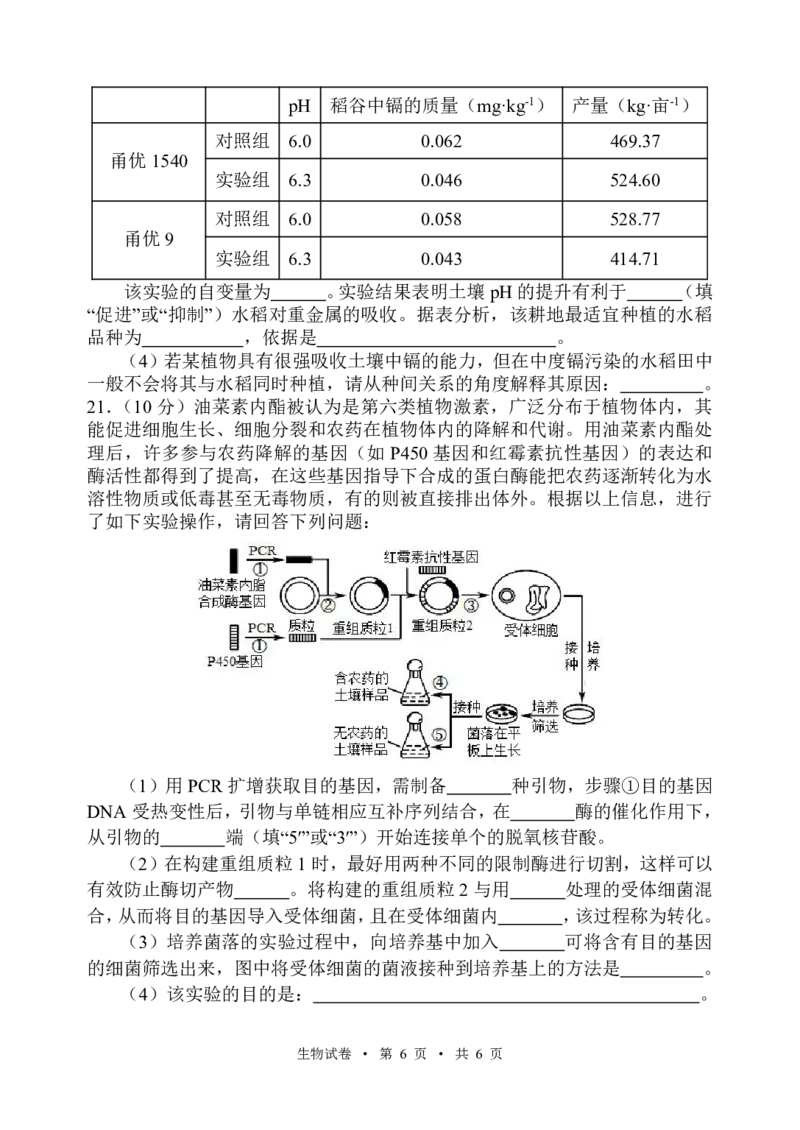 宁夏吴忠市高三上学期学业水平适应性考试生物_2024-2025高三（6-6月题库）_2024年11月试卷_1128宁夏吴忠市高三上学期学业水平适应性考试（全科）