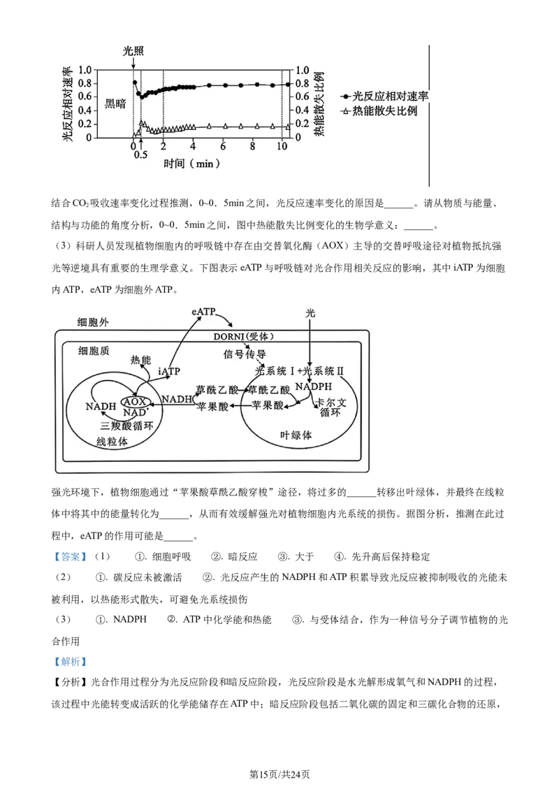 精品解析：江苏省苏州市八校联考（决胜新高考）2023-2024学年高三下学期期初考试生物试题（解析版）_2024年3月_013月合集_2024届江苏省决胜新高考联盟高三下学期2月大联考