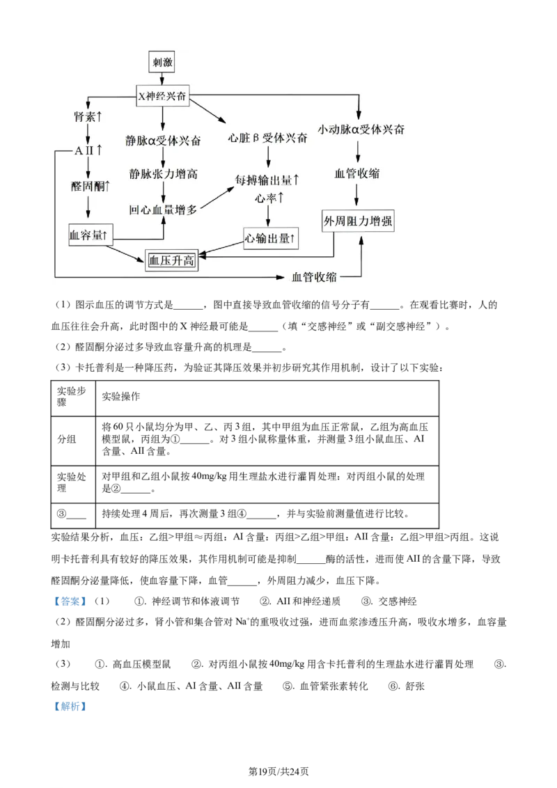 精品解析：江苏省苏州市八校联考（决胜新高考）2023-2024学年高三下学期期初考试生物试题（解析版）_2024年3月_013月合集_2024届江苏省决胜新高考联盟高三下学期2月大联考