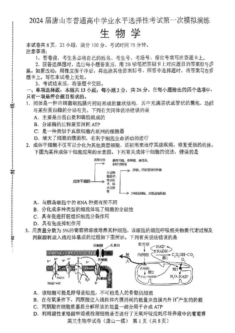 生物学试卷_2024年3月_013月合集_2024届唐山市普通高等学校招生统一考试第一次模拟演练_2024届唐山市普通高等学校招生统一考试第一次模拟演练生物