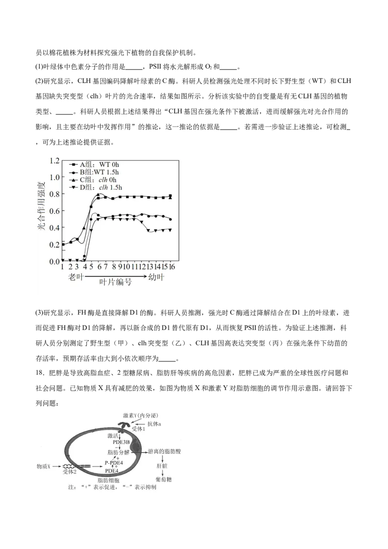 江西省赣州中学2024-2025学年高二下学期第一次月考试题生物Word版含答案_2024-2025高二（7-7月题库）_2025年04月试卷(1)_0419江西省赣州中学2024-2025学年高二下学期第一次月考试题