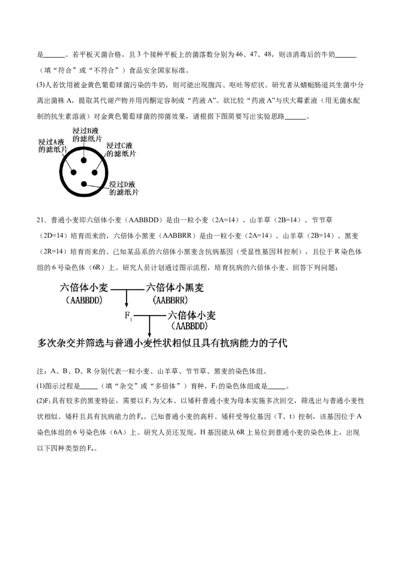 江西省赣州中学2024-2025学年高二下学期第一次月考试题生物Word版含答案_2024-2025高二（7-7月题库）_2025年04月试卷(1)_0419江西省赣州中学2024-2025学年高二下学期第一次月考试题
