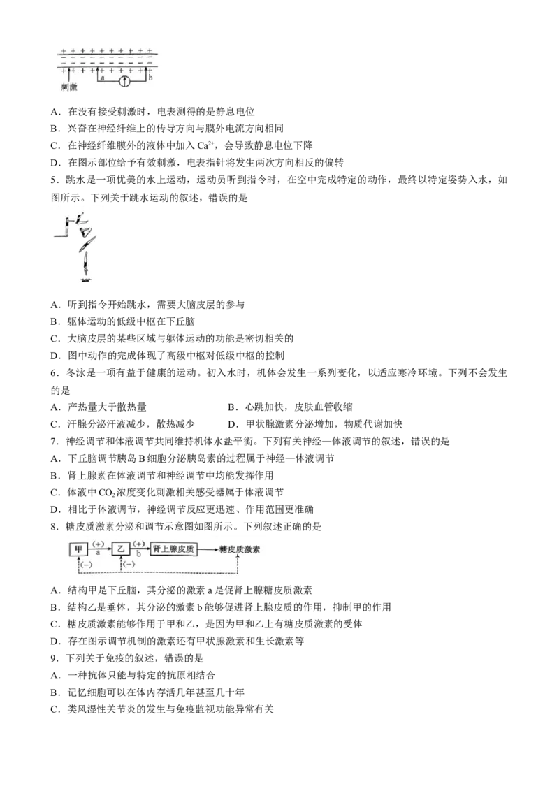 吉林省通化市第一中学校2024-2025学年高二上学期期中考试生物试题（含答案）_2024-2025高二（7-7月题库）_2024年11月试卷_1117吉林省通化市第一中学校2024-2025学年高二上学期11月期中考试