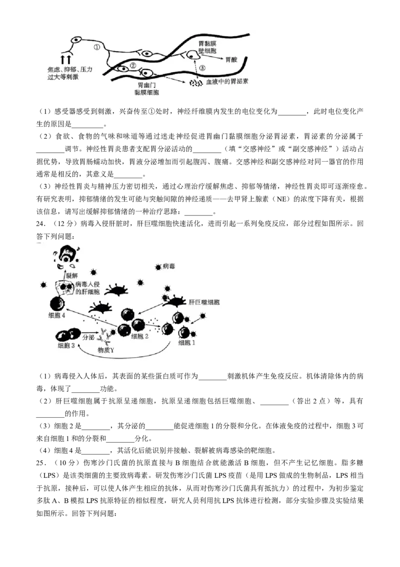 吉林省通化市第一中学校2024-2025学年高二上学期期中考试生物试题（含答案）_2024-2025高二（7-7月题库）_2024年11月试卷_1117吉林省通化市第一中学校2024-2025学年高二上学期11月期中考试