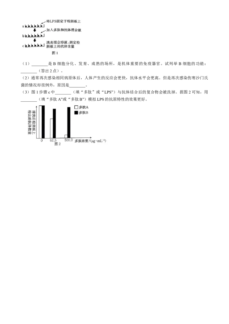 吉林省通化市第一中学校2024-2025学年高二上学期期中考试生物试题（含答案）_2024-2025高二（7-7月题库）_2024年11月试卷_1117吉林省通化市第一中学校2024-2025学年高二上学期11月期中考试