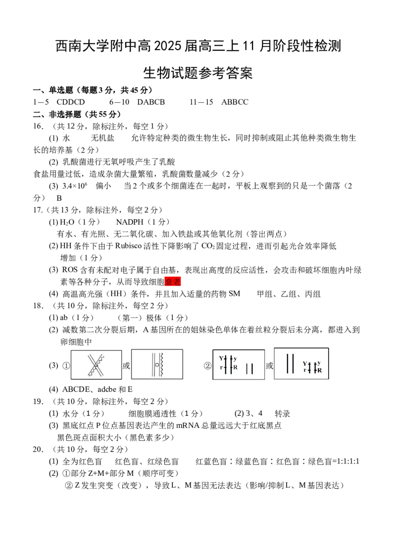 参考答案_2024-2025高三（6-6月题库）_2024年11月试卷_1112重庆市西南大学附属中学2024-2025学年高三上学期11月阶段性检测