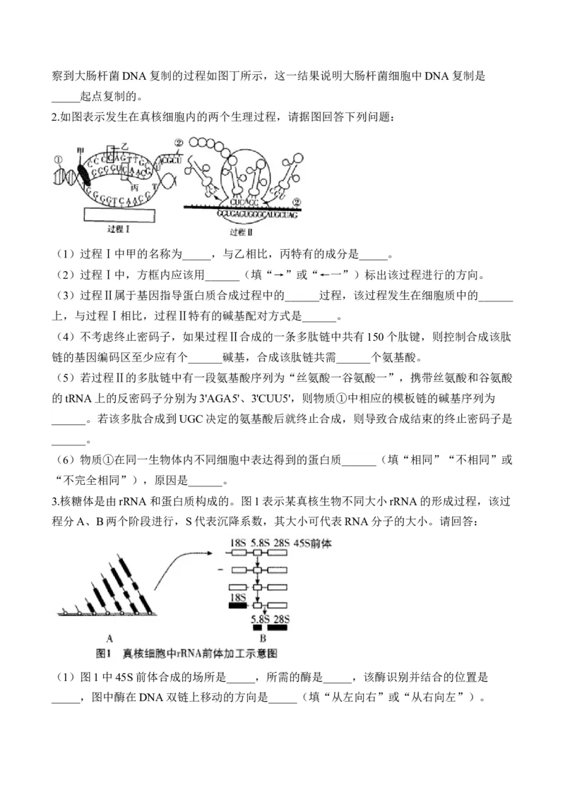 专题7遗传的分子基础（非选择题）&mdash;&mdash;高考生物学模块分练新高考版（含解析）_2024-2025高三（6-6月题库）_2026年1月高三