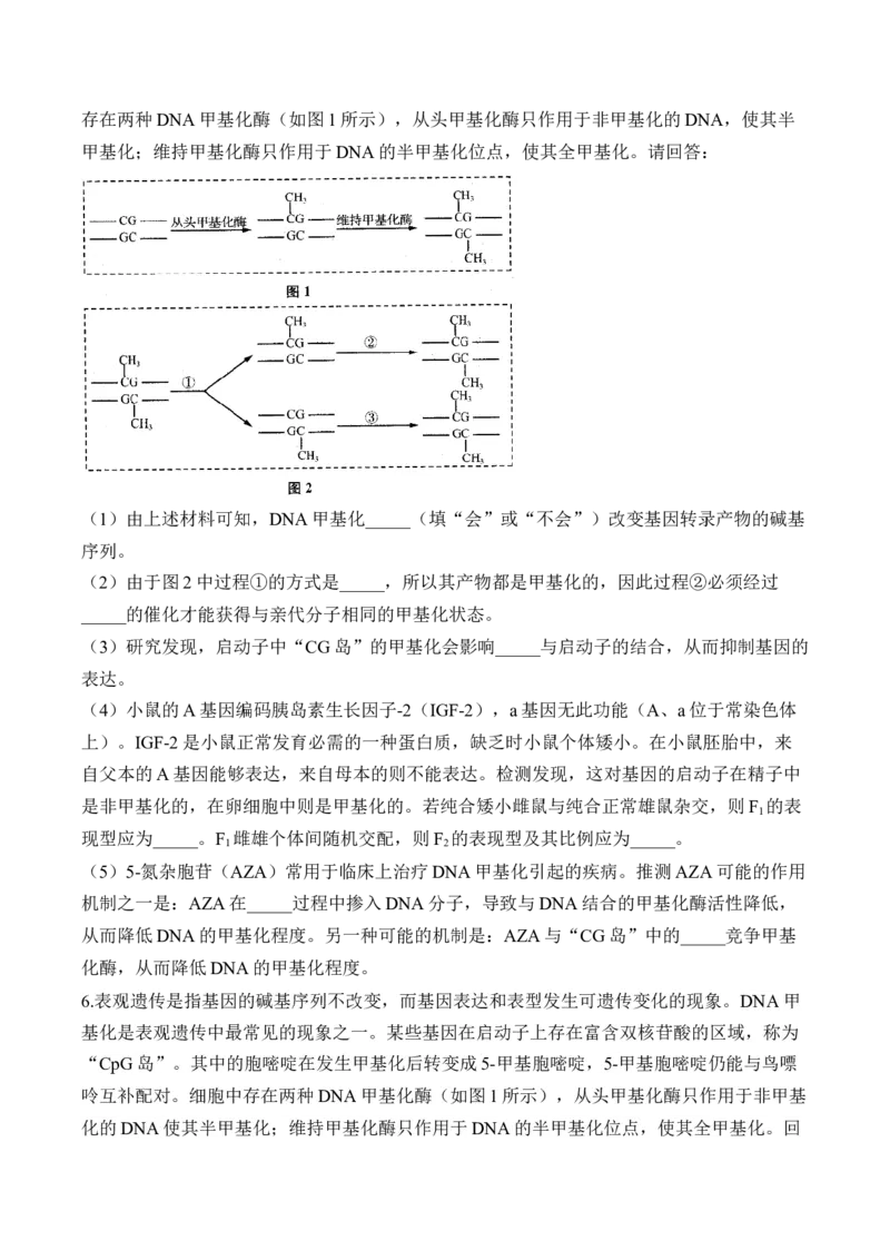 专题7遗传的分子基础（非选择题）&mdash;&mdash;高考生物学模块分练新高考版（含解析）_2024-2025高三（6-6月题库）_2026年1月高三