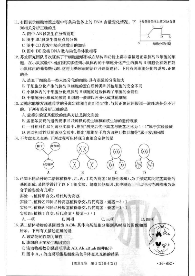 生物1(1)_2023年11月_0211月合集_2024届内蒙古高三10月金太阳联考（24-60C）_内蒙古2024届高三10月金太阳联考（24-60C）生物