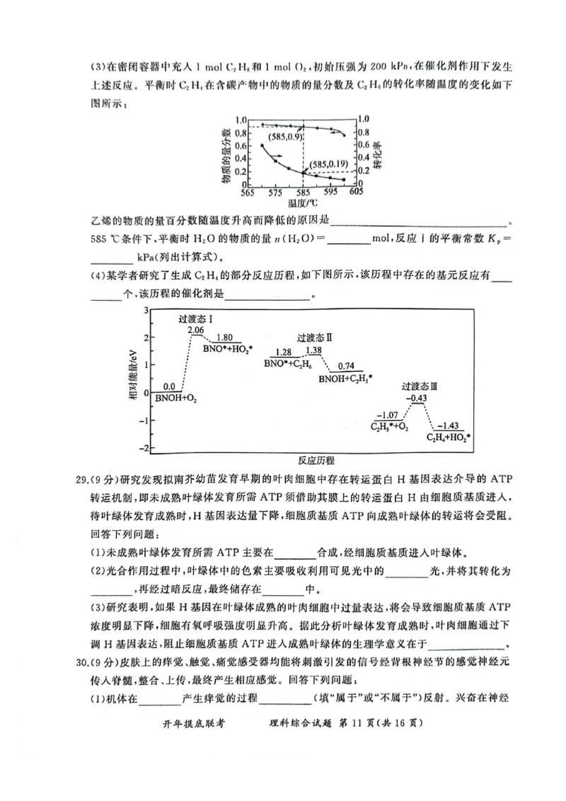 理科综合_2024年3月_013月合集_2024届百师联盟高三下学期开年摸底联考（全国卷）_百师联盟2024届高三下学期开年摸底联考理综