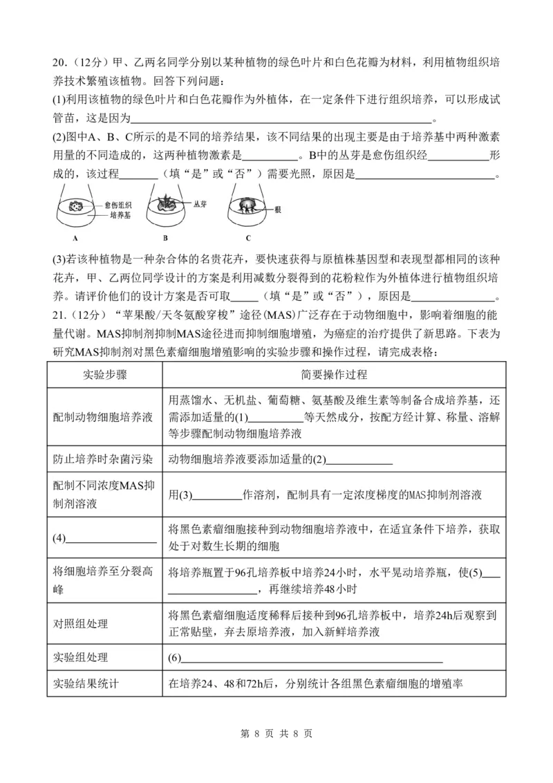 广东省东莞市东莞实验中学2024-2025学年高二下学期3月月考生物试题_2024-2025高二（7-7月题库）_2025年04月试卷(1)_0412广东省东莞市实验中学2024-2025学年高二下学期3月月考