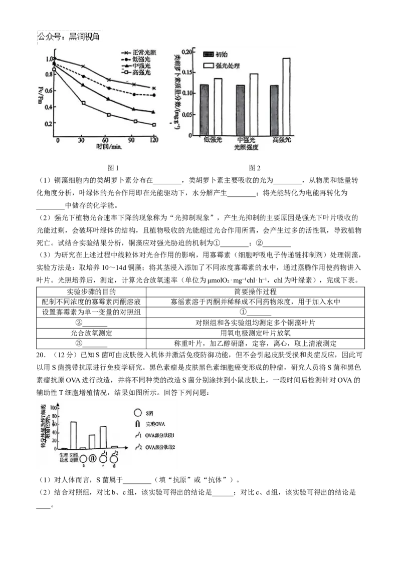 广东省清远市2024&mdash;2025学年高三上学期第一次模拟考试生物试题(无答案)_2024-2025高三（6-6月题库）_2024年10月试卷_1024广东省清远市2024-2025学年高三上学期一模考试（5048C）