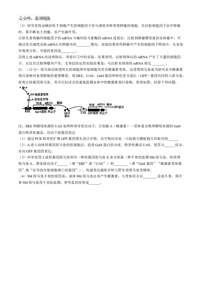 广东省清远市2024&mdash;2025学年高三上学期第一次模拟考试生物试题(无答案)_2024-2025高三（6-6月题库）_2024年10月试卷_1024广东省清远市2024-2025学年高三上学期一模考试（5048C）