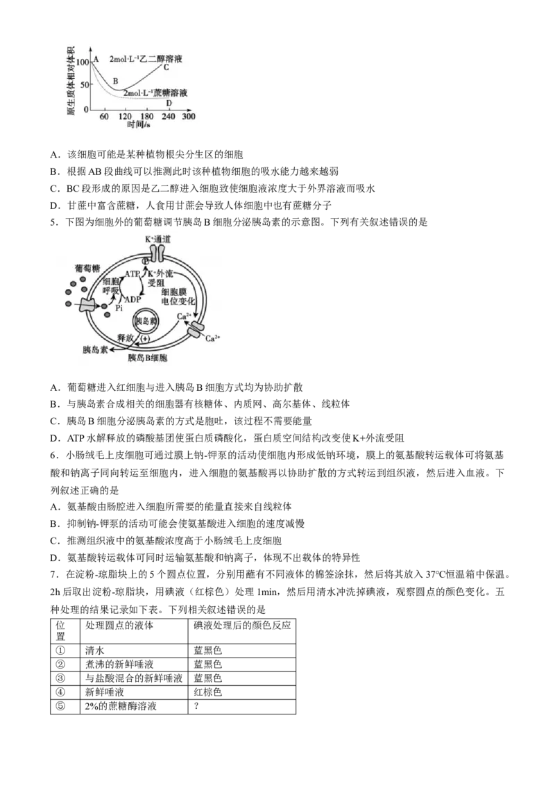 山东省泰安市2023-2024学年高二下学期7月期末生物试题_2024-2025高三（6-6月题库）_2024年07月试卷_240713山东省泰安市2023-2024学年高二下学期7月期末考试