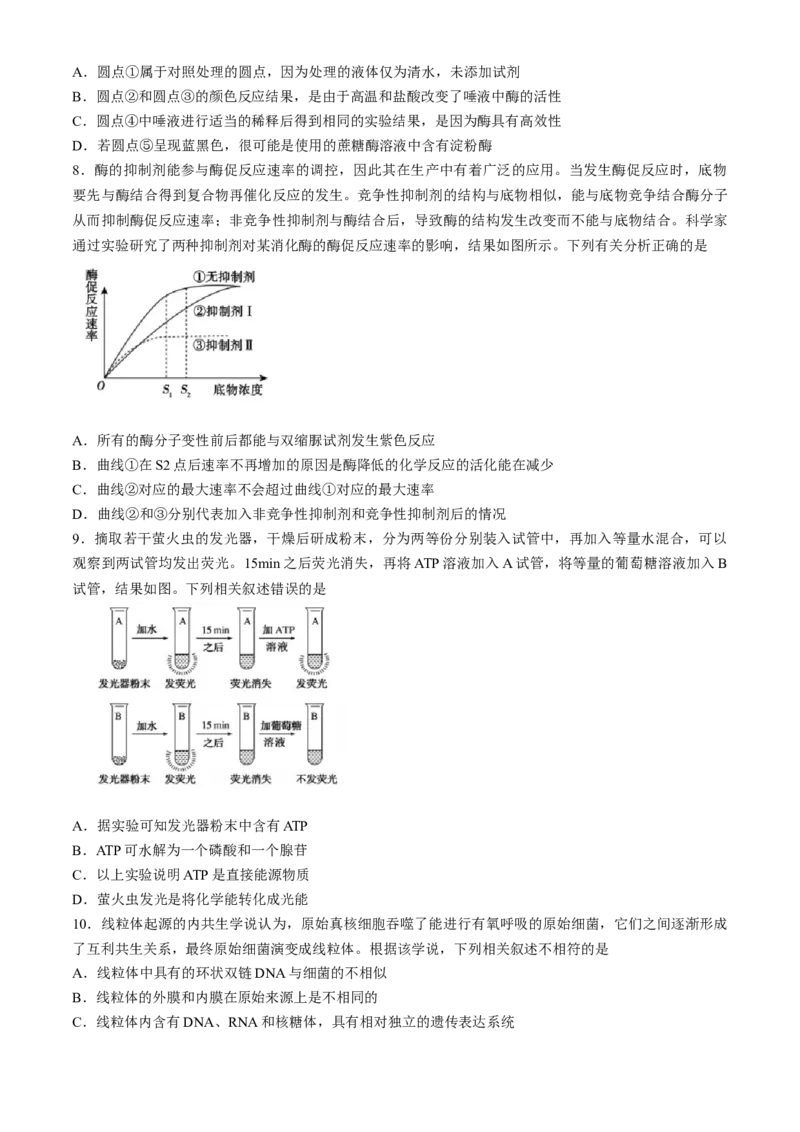 山东省泰安市2023-2024学年高二下学期7月期末生物试题_2024-2025高三（6-6月题库）_2024年07月试卷_240713山东省泰安市2023-2024学年高二下学期7月期末考试
