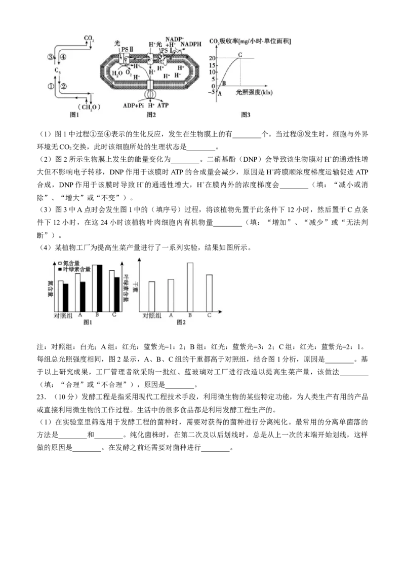 山东省泰安市2023-2024学年高二下学期7月期末生物试题_2024-2025高三（6-6月题库）_2024年07月试卷_240713山东省泰安市2023-2024学年高二下学期7月期末考试