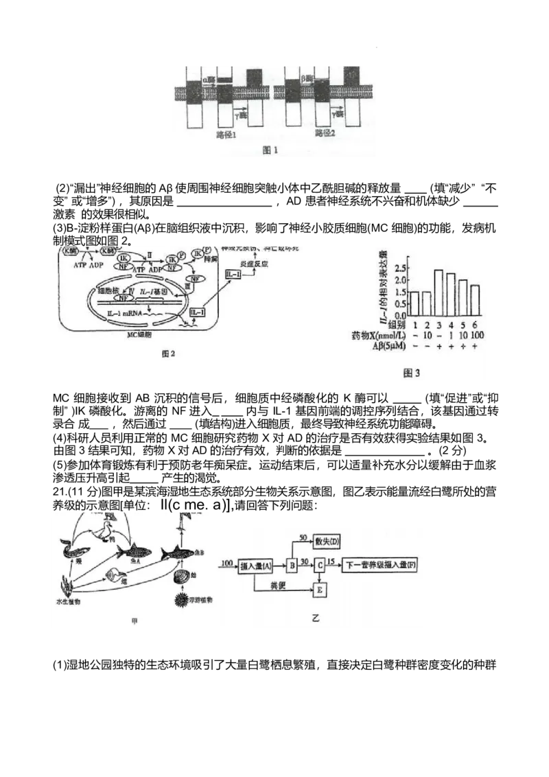 江苏省泰州中学2024-2025学年高二下学期4月期中考试生物试卷（有答案）_2024-2025高二（7-7月题库）_2025年05月试卷_0508江苏省泰州中学2024-2025学年高二下学期4月期中考试