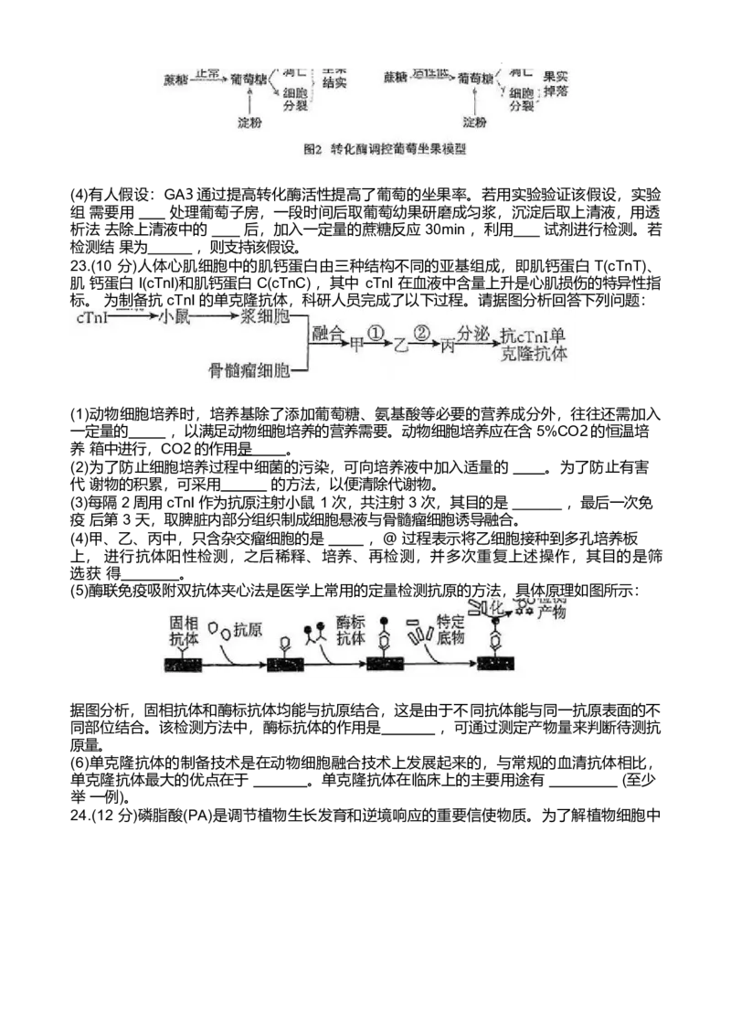 江苏省泰州中学2024-2025学年高二下学期4月期中考试生物试卷（有答案）_2024-2025高二（7-7月题库）_2025年05月试卷_0508江苏省泰州中学2024-2025学年高二下学期4月期中考试