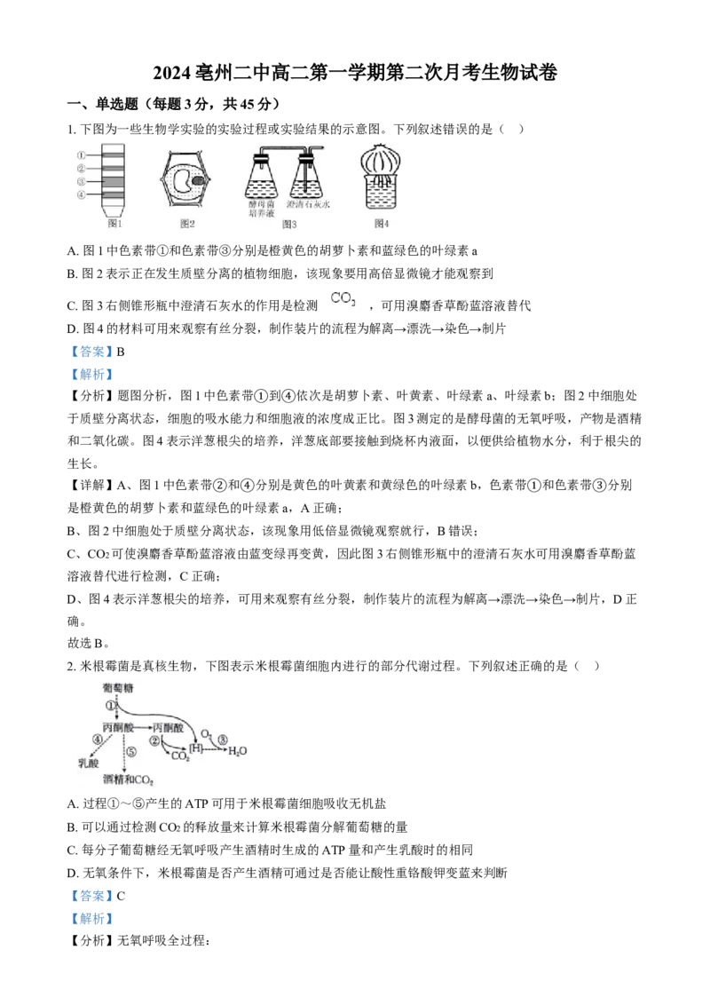 安徽省亳州市第二完全中学2024&mdash;2025学年高二上学期12月月考生物试题Word版含解析_2024-2025高二（7-7月题库）_2025年01月试卷