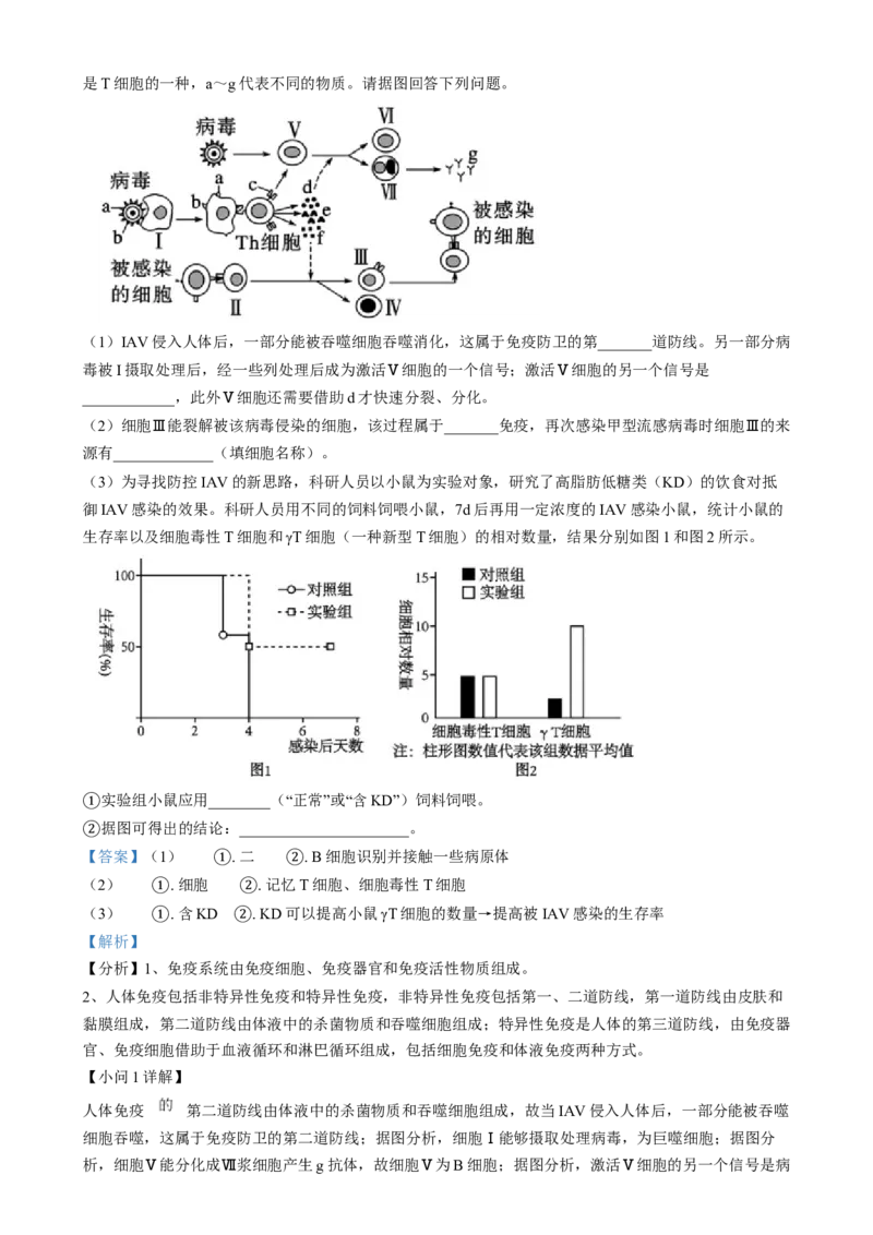 安徽省亳州市第二完全中学2024&mdash;2025学年高二上学期12月月考生物试题Word版含解析_2024-2025高二（7-7月题库）_2025年01月试卷