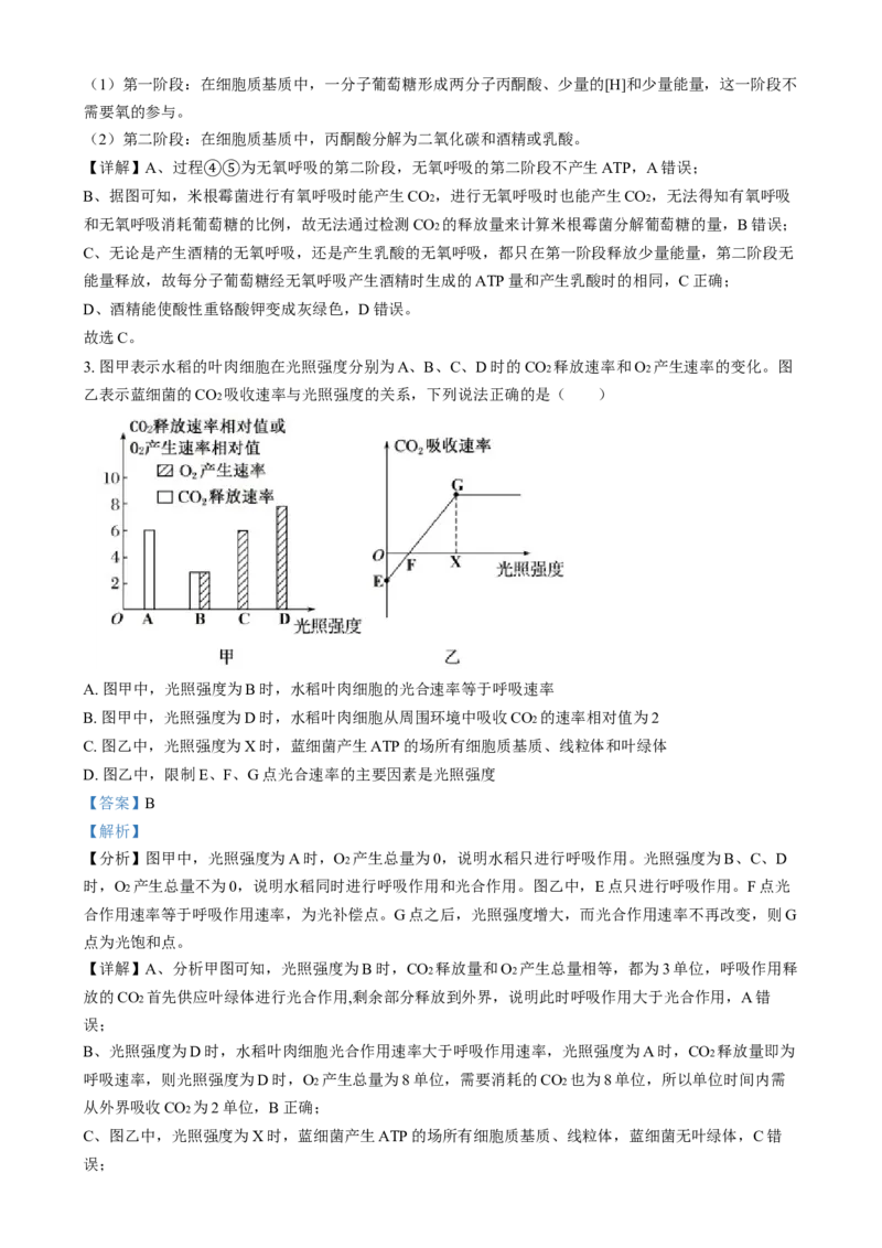安徽省亳州市第二完全中学2024&mdash;2025学年高二上学期12月月考生物试题Word版含解析_2024-2025高二（7-7月题库）_2025年01月试卷