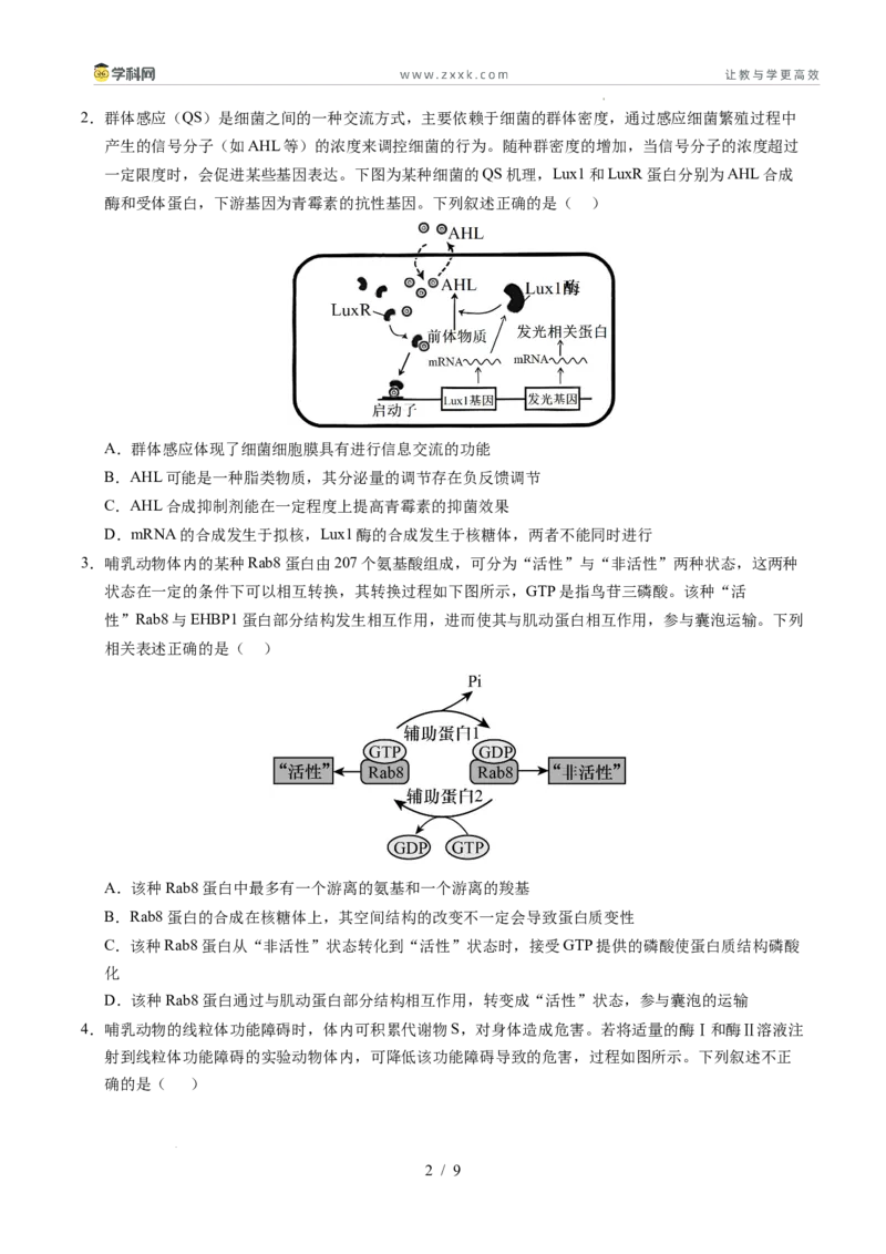 信息必刷卷01（新高考通用）原卷版_2024-2025高三（6-6月题库）_2025年05月试卷_05242025年高考物理考前信息必刷卷01（新高考通用）