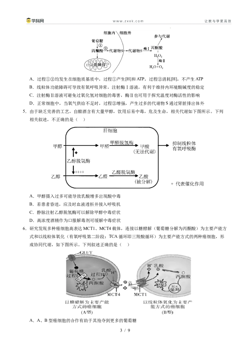 信息必刷卷01（新高考通用）原卷版_2024-2025高三（6-6月题库）_2025年05月试卷_05242025年高考物理考前信息必刷卷01（新高考通用）