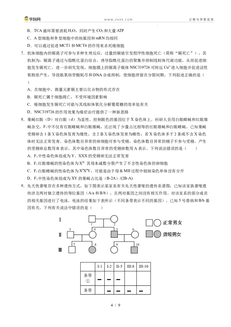 信息必刷卷01（新高考通用）原卷版_2024-2025高三（6-6月题库）_2025年05月试卷_05242025年高考物理考前信息必刷卷01（新高考通用）