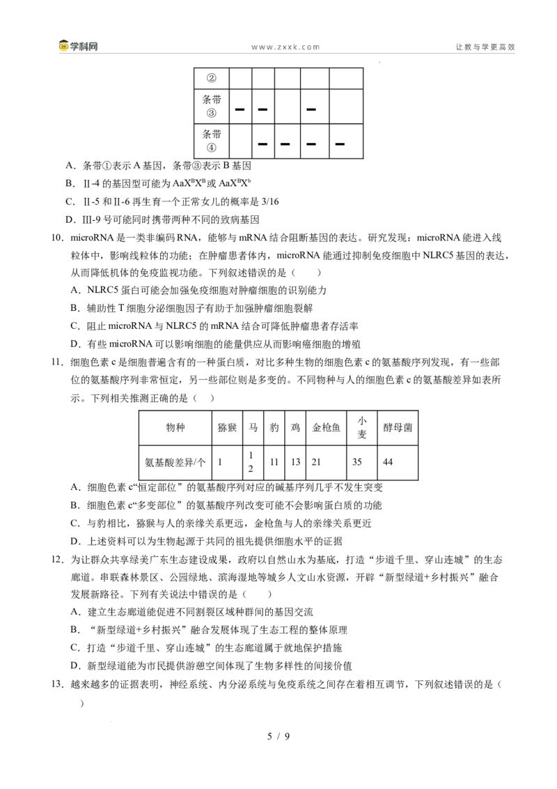 信息必刷卷01（新高考通用）原卷版_2024-2025高三（6-6月题库）_2025年05月试卷_05242025年高考物理考前信息必刷卷01（新高考通用）